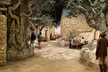 Up to 30% Off Museum of the Bible Admission with Special Exhibits - Second Medium