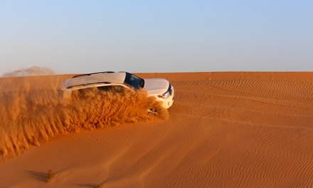 Choice of Morning or Evening Desert Safari for One Person - Abu Dhabi Morning Desert Safari Desert Wonders Tourism