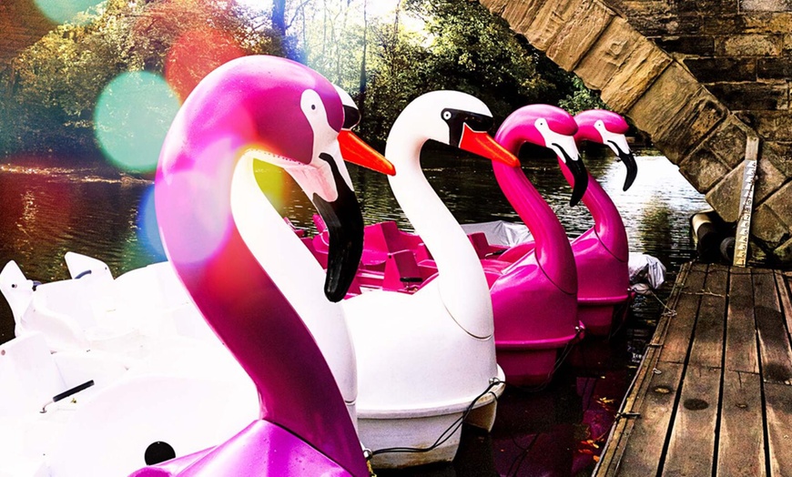 Image 6: Pedalo Hire for Up to Five People Weekdays - Valid Till Oct 3