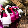Image 6: Pedalo Hire for Up to Five People Weekdays - Valid Till Oct 3