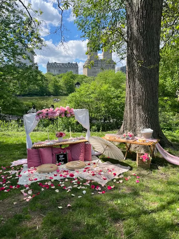 Central Park Picnic Experience with Custom Themes!