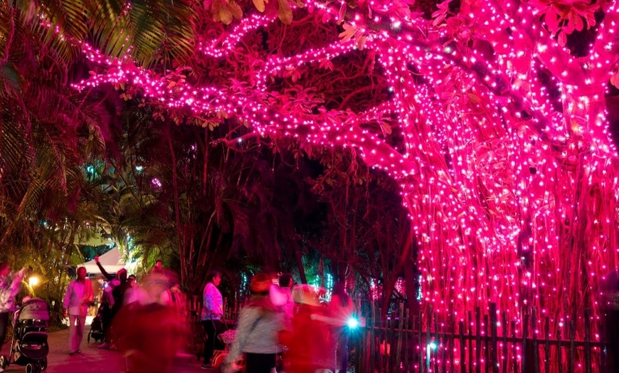 Image 6: Zoo Lights: A Dazzling Holiday Experience 
