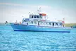 Experience Jumbo Porgy, Nighttime & Striped Bass Fishing Trip + Rod for Adult in Island Current (Up To 15% Off) - Second Medium