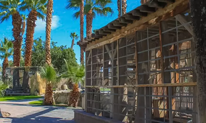 Dive into Wellness with Day Passes for One, Two, or Four