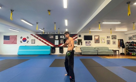 One Single Class per person Kickboxing (to train with a 4 times World Champion) - Kings ATA Celebrity Martial Arts