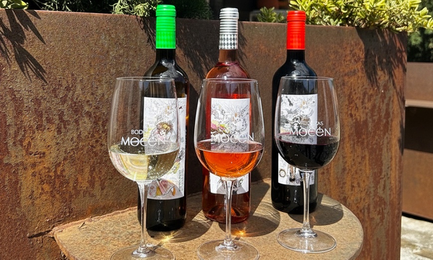 Image 16: Visita guiada a bodega para 2 o 4 con cata de 3 vinos y aperitivo