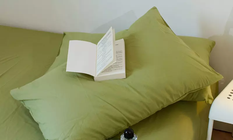 Pure Cotton 2 Piece Pillowcase Set