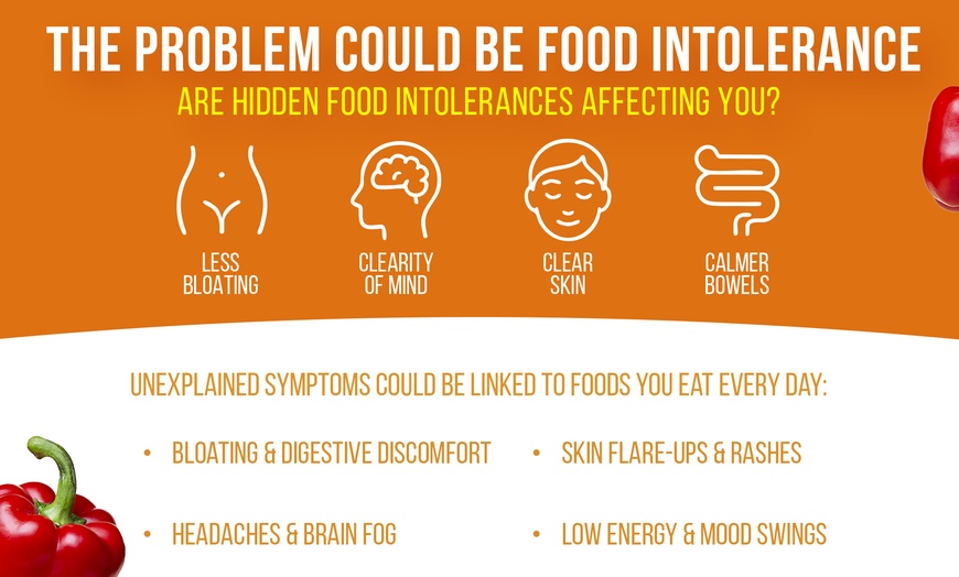 Image 4: 350, 600 or Digestive & 800 Items Sensitivity Screening Test