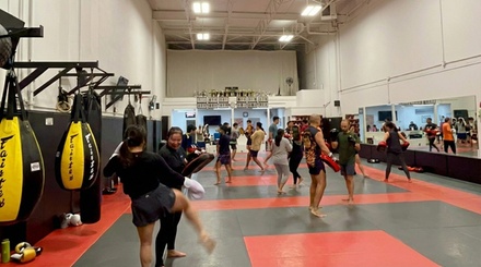 Five Adult Kickboxing or Brazilian Jiu -Jitsu Classes for one Adult (18+) valid for one month. - Apex Martial Arts Ltd