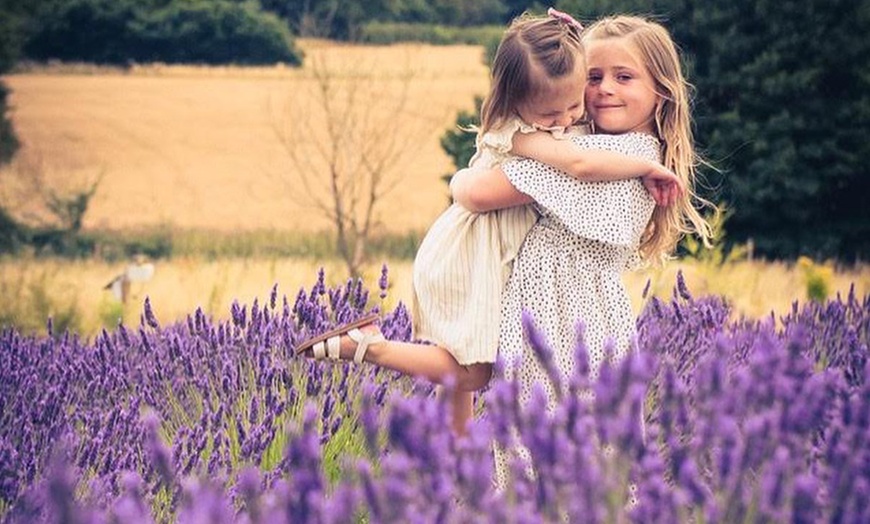 Image 10: Discover Beautiful Lavender Fields & Afternoon Tea at Finchingfield Camping with Up to 33% Off!