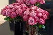 Express Your Unconditional Love: 24 Luxury Long Stem Valentine's Rose Bouquet from Rose Farmers Farm Fresh Roses (Up to 63% Off) - Second Medium