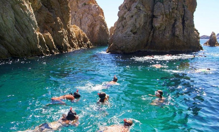 Image 6: Sesión de 2 horas de snorkel para hasta 4 personas