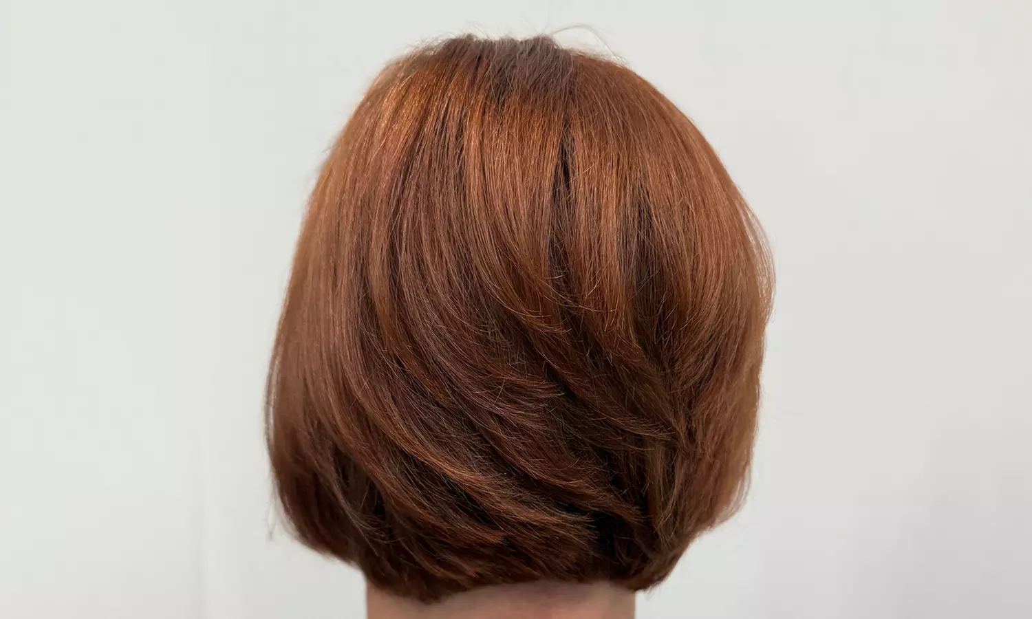 Style Up: Haircut, Shampoo & Style (Blowout), / Curl/Flat Iron Styling