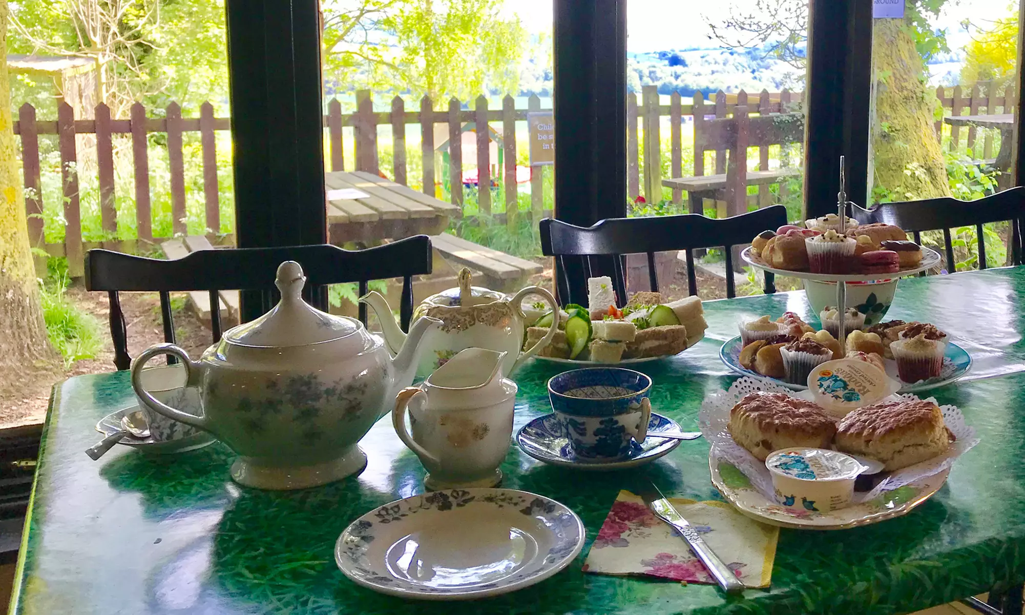 Discover Wildlife at Eagle Heights with Optional Afternoon Tea