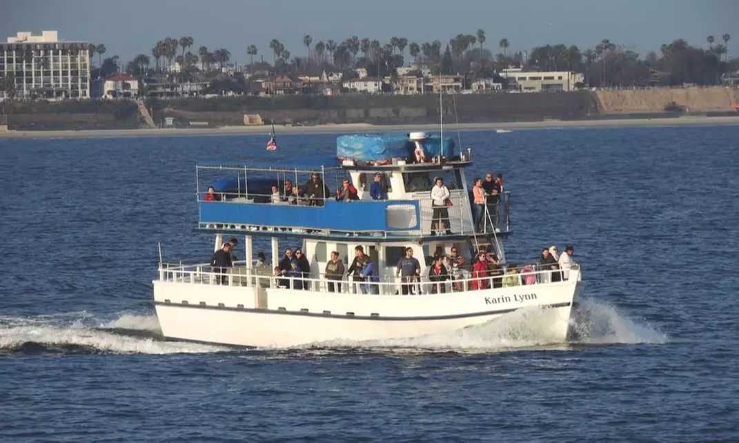 Up to 50% Off Whale Watching and Harbor Tours - Harbor Breeze
