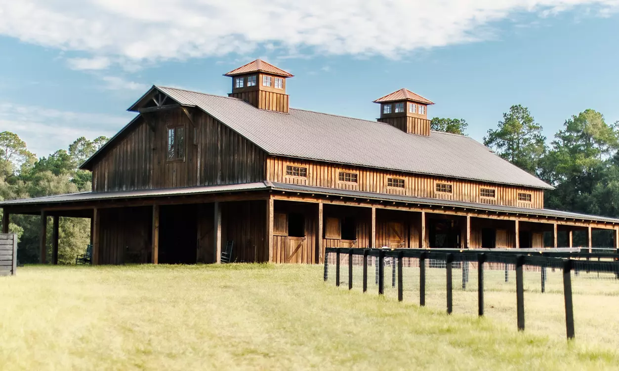 Uncover the Joy of 60-Minute Horseback Riding One, Two or Four Lessons