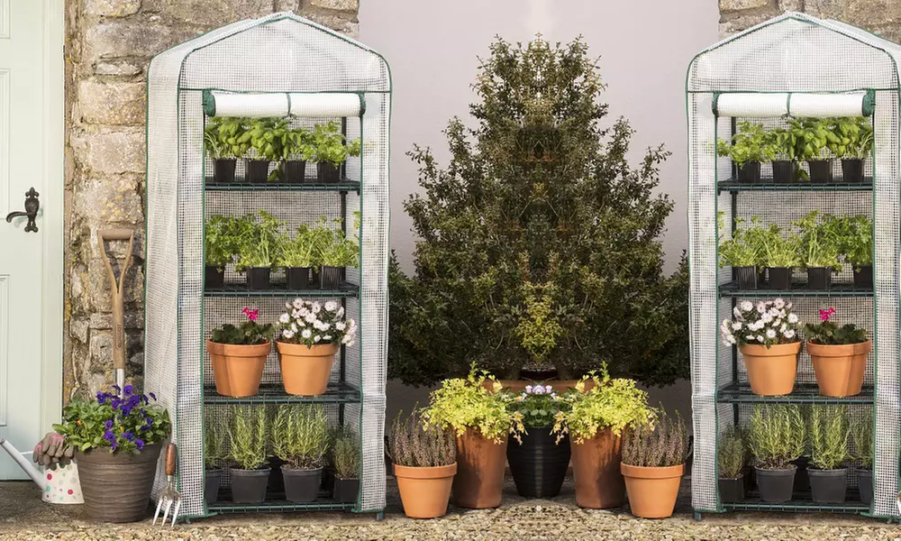 Garden Greenhouse Polytunnel Cloche and Protection Structure Range