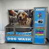 Image 1: Self-service dog wash: Choose Your Pampering Package for Your Pup