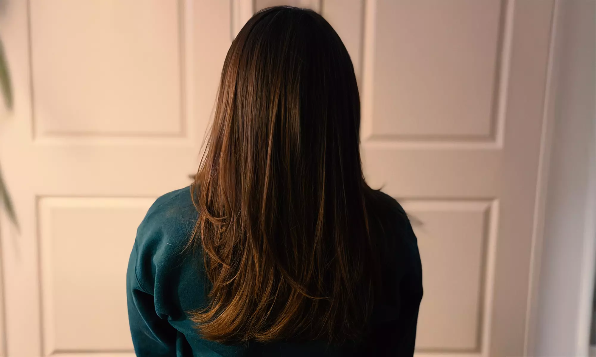 Transform Your Look with Expert Haircut + Shampoo & Style w/w/o Colors