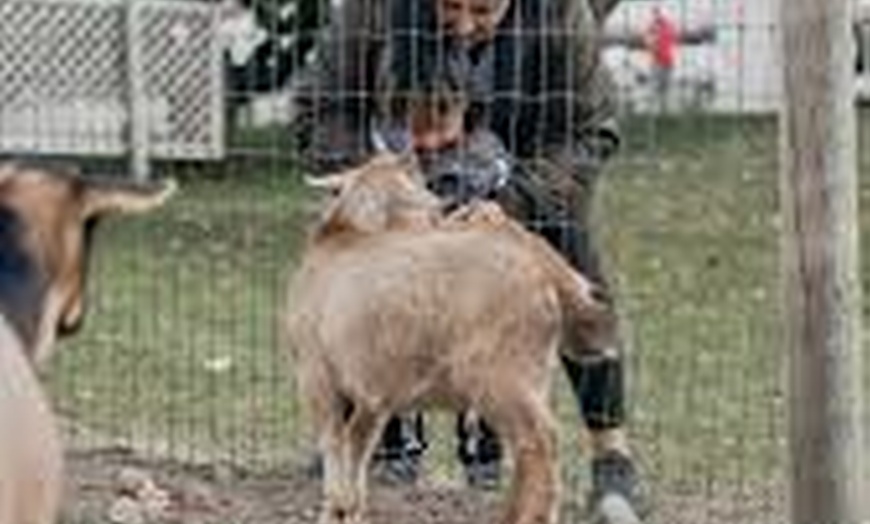 Image 4: To Your Doorstep: 60- or 90-Minute Mobile Petting Zoo Experience
