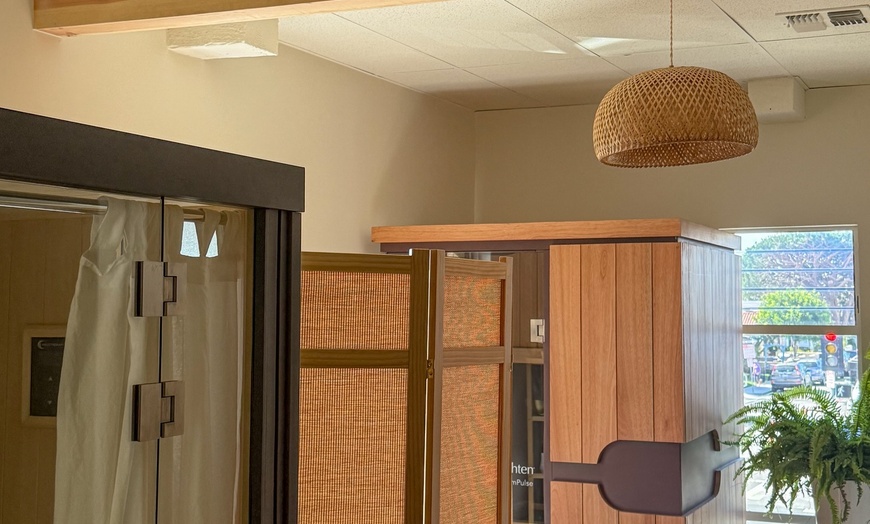 Image 4: Revitalize with Wellness Pass or Unlimited Salt Therapy