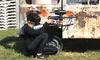 3-Hour Paintball Fun for 2-4 People w/ Gears, Unlimited Air Refills, 100 Paintballs & Safety Masks (52% Off)