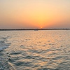 Image 9: Private Island Party with Breathtaking Skyline Views for 12 Guests!