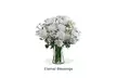 Express Your Condolences with a Thoughtful Sympathy Bouquet from Blooms Today—Vase & Flower Delivery Included (Save up to 12%) - Second Medium