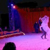 Image 3: Dancing with Horses 2025: ticket voor 23 of 24 augustus in Wassenaar