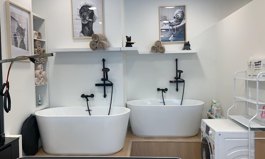Image 3: Get Cat or Dog Bath & Blow (Wash, Blow-dry, Nail Trim ) + One Add On