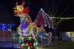 Join the Festive Holiday Lights Tour: Adult or Child Admission Passes to the Knights of Lights ( Up to 25% Off ) - Second Medium