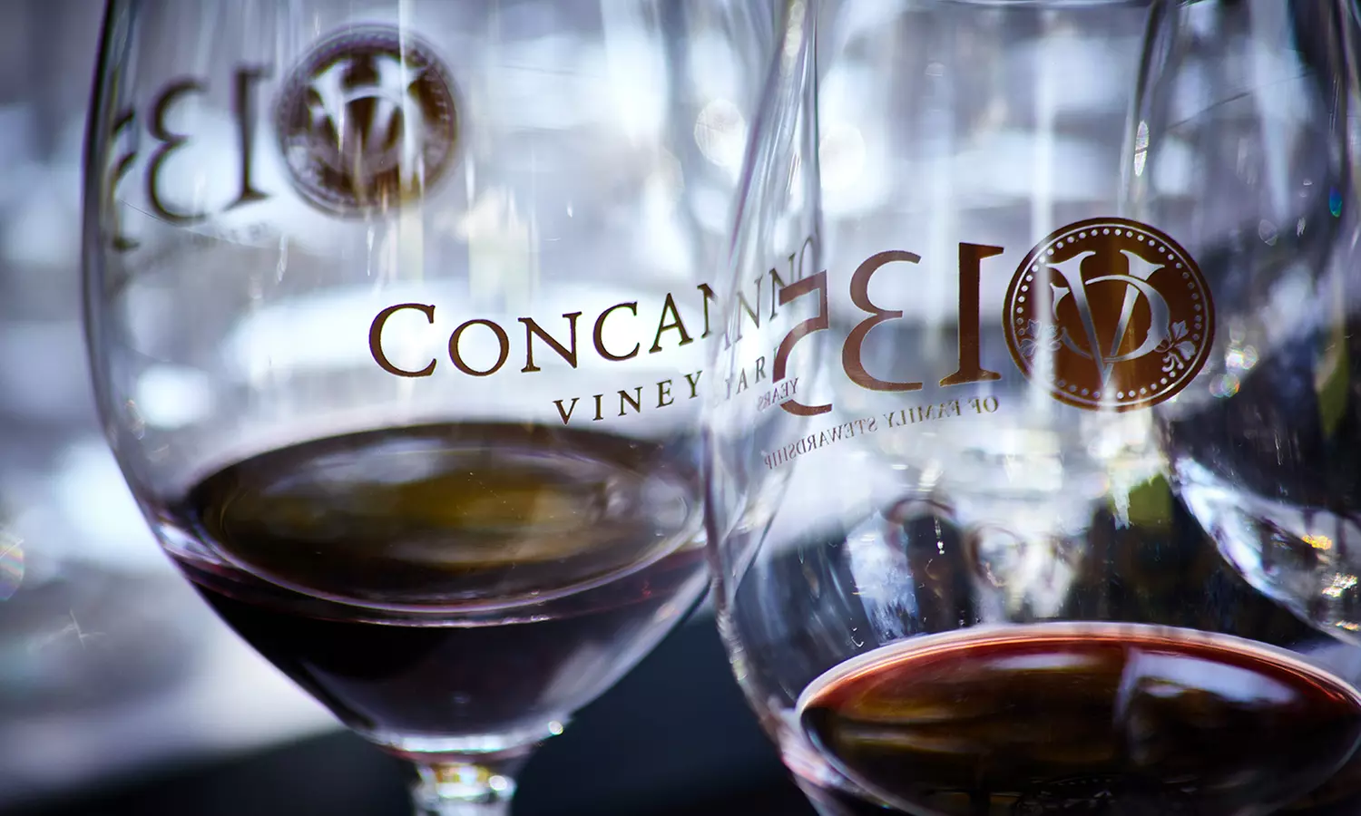 Wine Tasting w/ Chocolate Pairing for Two or Four w/ or w/o Bottle