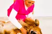 Cat or Small, Medium, Large or X-Large Dog Basic or Full Grooming at Your Home Vet Clinic (Up to 39% Off) - Image 2