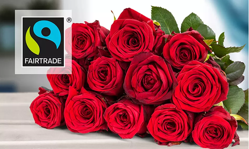 12 Fairtrade-Rosen in Rot, Rosa oder Gelb-Orange von Valentins (bis zu 38% sparen*) - Second Medium