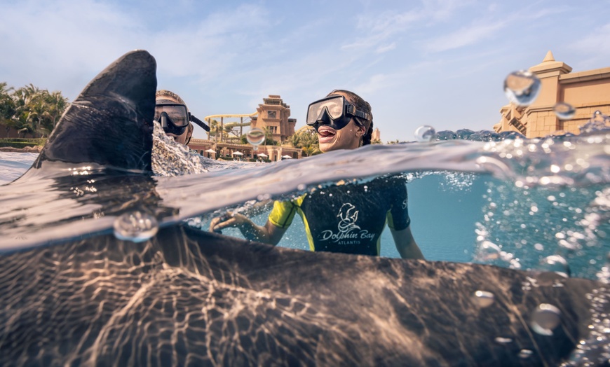 Image 11: Aquaventure Waterpark Tickets – Atlantis The Palm Day Pass