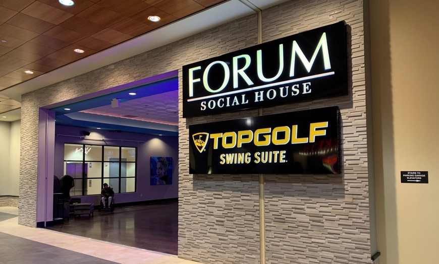 Image 2: 45 Minute Golf Lessons from Pro Golfer with Camera Swing Analysis