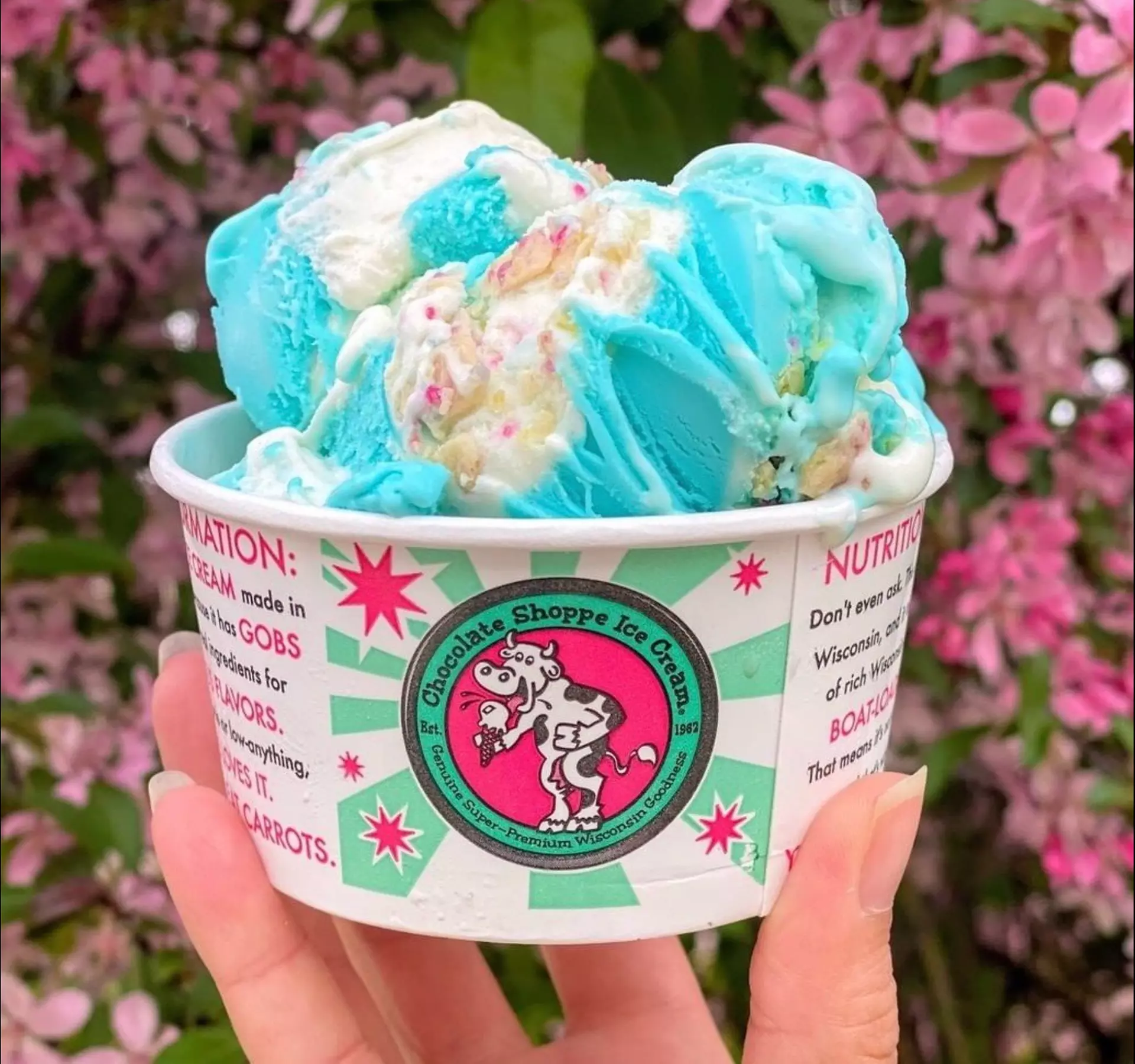 Satisfy Sweet Cravings with $15 or $25 Worth of Ice Cream at Dini's Ice Cream Shoppe (Up To 33% Off) - Primary Image