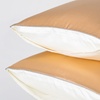 Image 15: 21 Momme Pure Silk Hotel Grade Pillowcase Pair