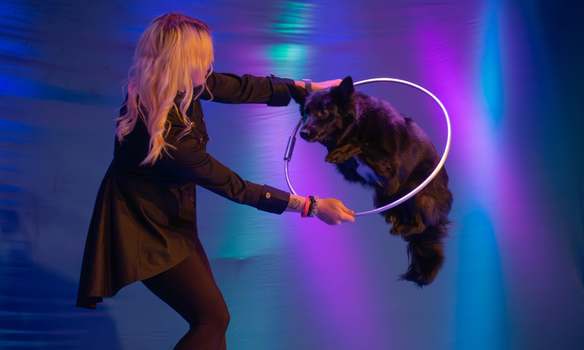 Pets and Giggles - Up to 52% Off