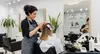 Revamp Your Look with Woman's Haircut, Balayage, Blow Dry, Highlights, & More  Up to  46% Off At Salon Affinity