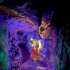Image 6: GetOut San Antonio with Admission to 30+ Iconic Attractions  