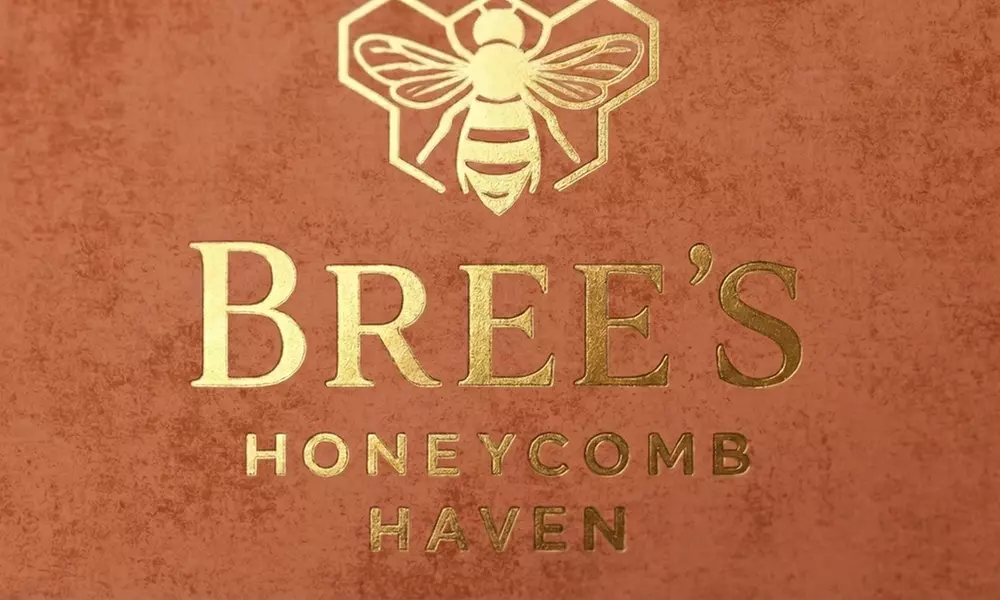 Choice of One or Three 60 or 90 Minute Custom Massage Sessions at Brees Honeycomb Haven - Primary Image