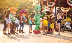 Bobbejaanland: kamer voor 2-5 pers. incl. 2 dagen toegang park