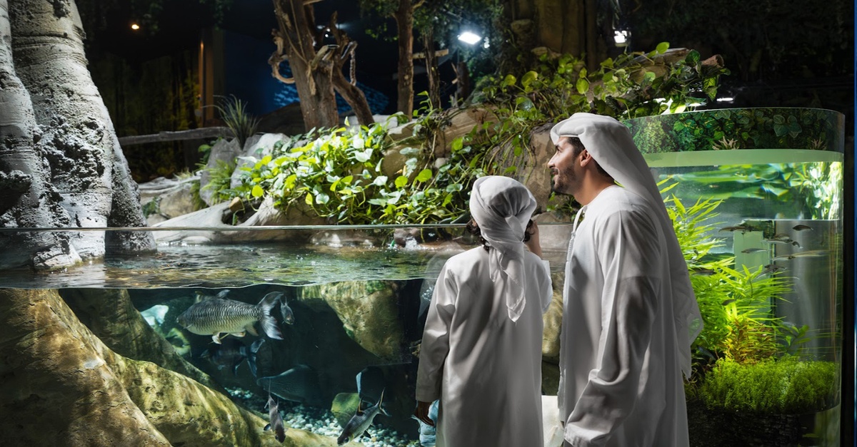 Entry For 1, 2 Or 4 Adults To World’S Largest Suspended Aquarium Entry For 1, 2 Or 4 Adults To World’S Largest Suspended Aquarium