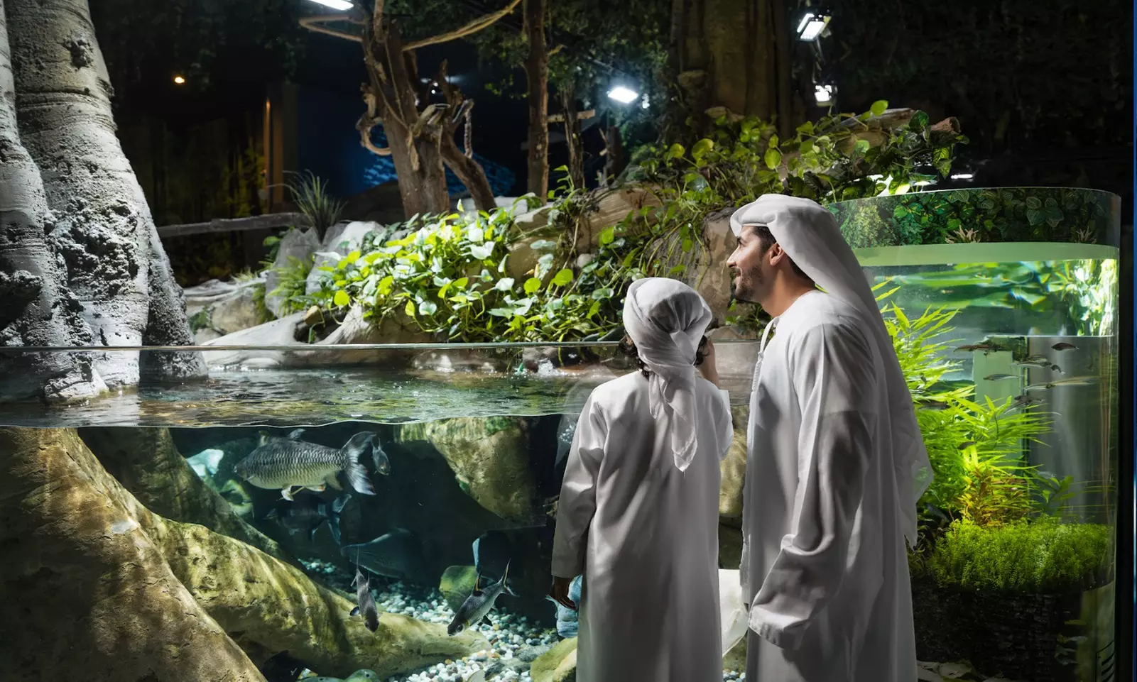 Entry for 1, 2 or 4 Adults to World’s Largest Suspended Aquarium