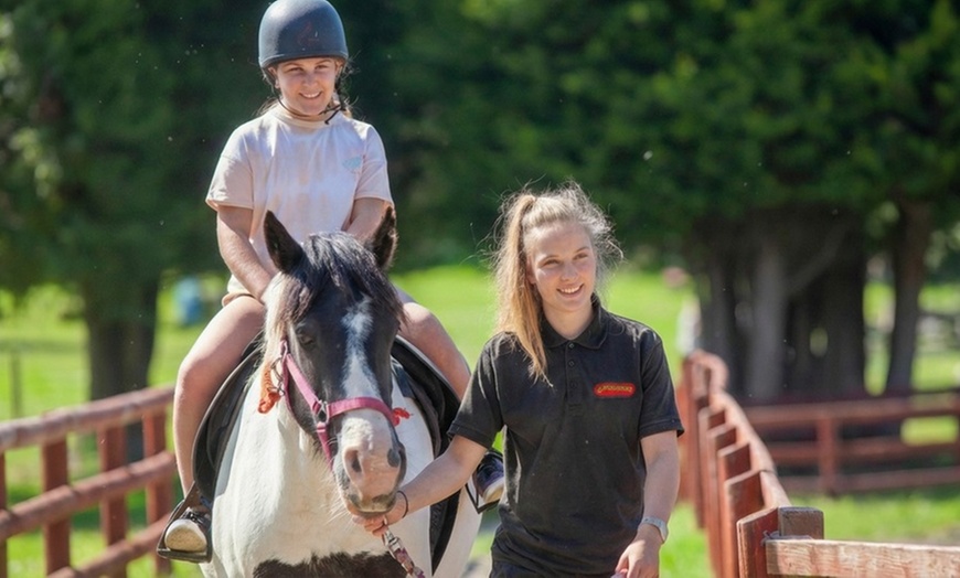 Image 7: Cornwall: 2 Nights with Springfields Fun Park & Pony Centre Entry