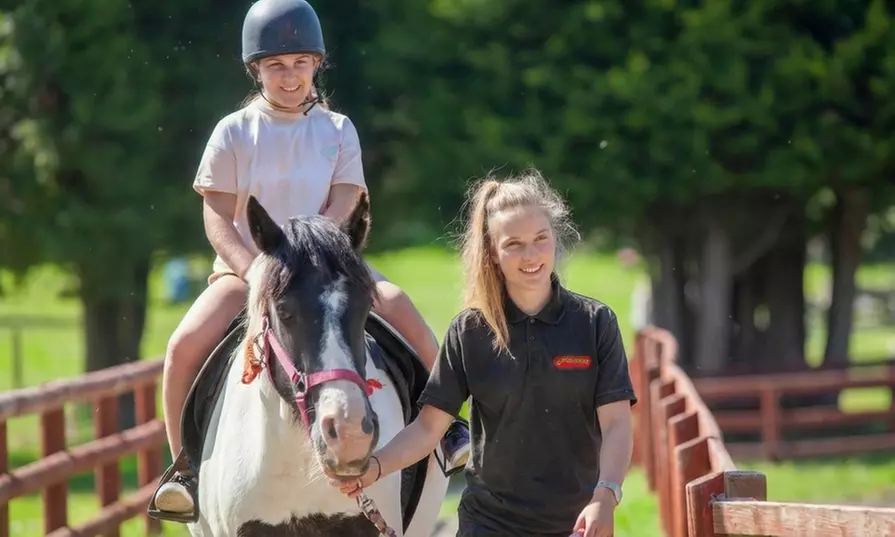 Cornwall: 2 Nights with Springfields Fun Park & Pony Centre Entry