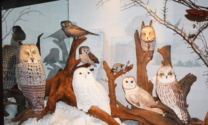 Image 3: Enjoy Nature and Art:  Admission for 2, 3, or 4 Adults 