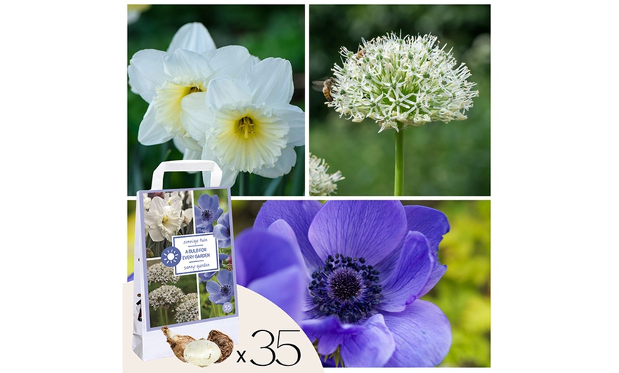 Image 3: Lot de 35 bulbes mélangés