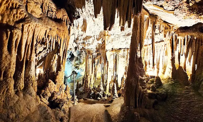 Aventura diferente: entrada a las Cuevas De Genova para niño y adulto